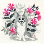 corgi with campion