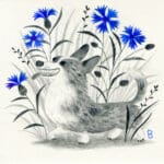 corgi with cornflowers