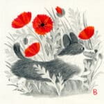 corgi with poppies
